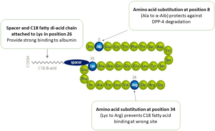 Semaglutide nella cura dell’obesità